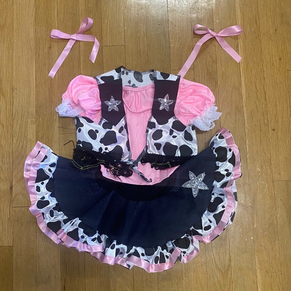 Brand New Dansco costume